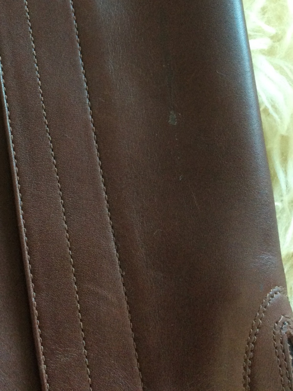 Ariat Classic Chaps - W's Small Tall - NEW - Chocolate - Picture 3 of 6